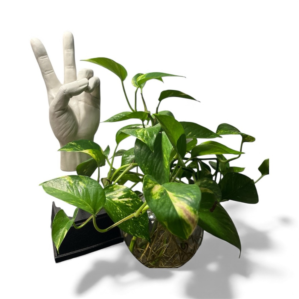 TMS 15" Vitruvian Collection PEACE SIGN Modern Art Sculpture Great Holiday Gift - Picture 3 of 7